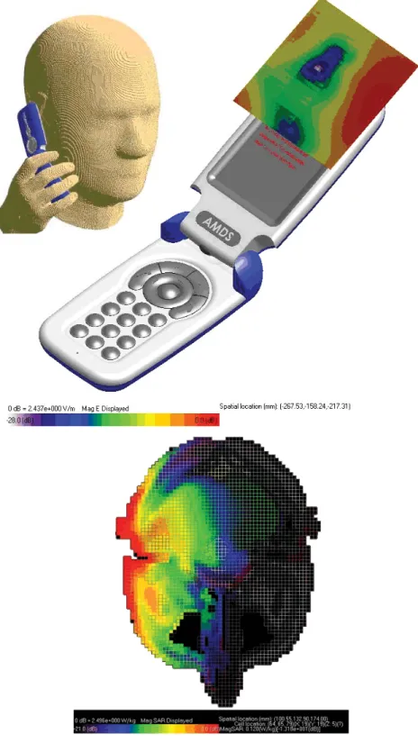 Figure 9. FDTD mesh-view of a mobile phone in proximity of a head and hand (top), SAR-distribution inside the SAM-head (middle) and near-ﬁ eld E-ﬁ eld distribution in the  HAC scanning area (bottom)