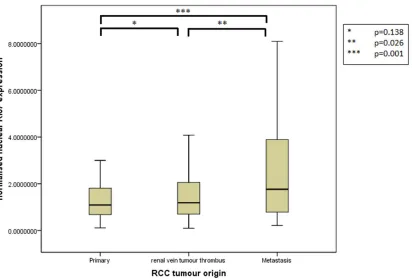 Figure 3. Differential nuclear p53 expression between primary, renal vein tumour thrombus and metastatic RCC
