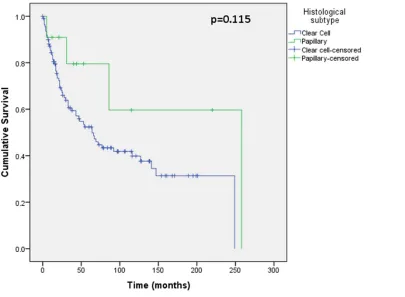 Figure 6. Differential nuclear SLUG expression between primary, renal vein tumour thrombus and metastatic RCC