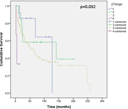Figure 8. Kaplan Meier curve showing relationship of CSS with pathological tumour stage