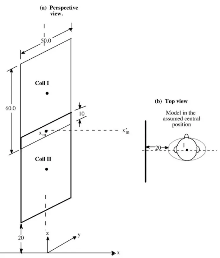 Figure 4 An assumed EAS system using a pair of rectangular coils with an overlap of 10 cm