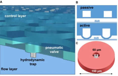 Figure 1. An illustration of the two layers of the microfluidic device. A) A 3D rendering of the microchambers with the pneumatic valve on top and hydrodynamic chamber