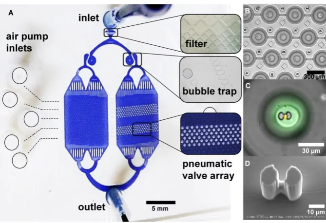 Figure 2. A microfluidic platform for single cell compartmentalization. A) An image of the chip with (inset) portions of actuated chambers