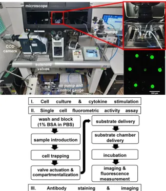 Figure 3. Above: The single cell assay system uses a microfluidic device connected to fluid and air pumps