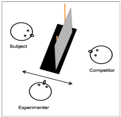 Fig. 2 Subject’s and competitor’s view of the experimental setup