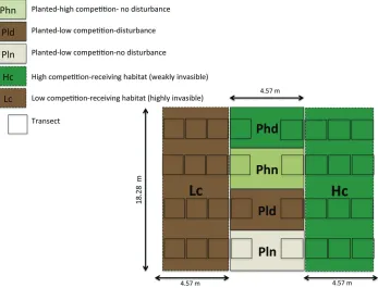 Figure 1. A single replicate, showing the two-factor split-plot layout for each of the 76 plots established in Blacksburg, VA.