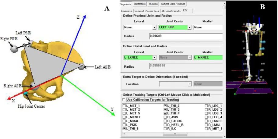 Figure 3- 11: (A) The creation of Visual3D pelvis (https://www.c-motion.com), and (B) Thecreation of left Visual3D thigh.