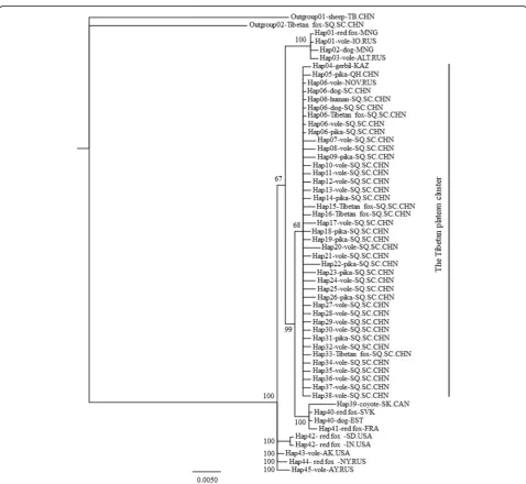 Fig. 2 Phylogenetic tree comparing the geographical distribution between mtDNA cox1 gene haplotypes of Echinococcus multilocularis