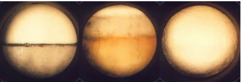 Figure 1.2 (a)- (left) Carbon Dioxide in a sealed vessel below its critical