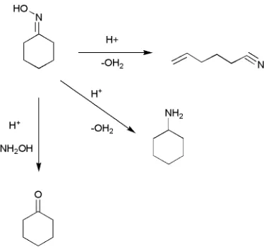Figure 3.4-The most commonly quoted side-products for the heterogeneously