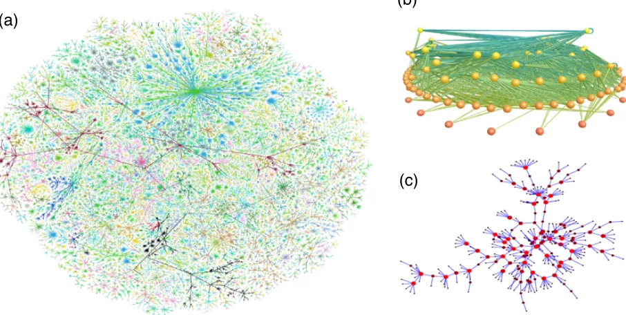 Figure 2. Examples of studied networks. (a) A visualisation of the network structure of the Internet