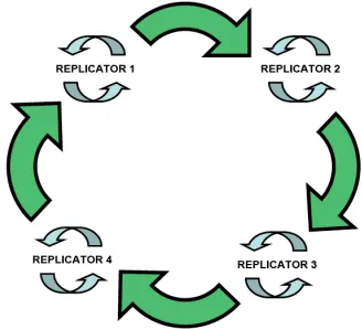 Figure 9. Schematic representation of a hypercycle of replicators. 