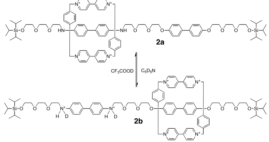 Figure 14. One step, eight-molecule condensation to give the [2]catenane 5. 