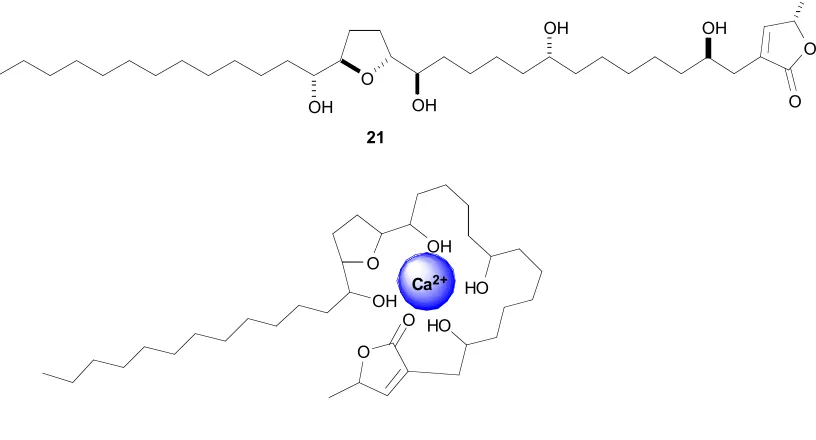 Figure 1.13: Schematic view of complexation of annonacin (21) with Ca2+