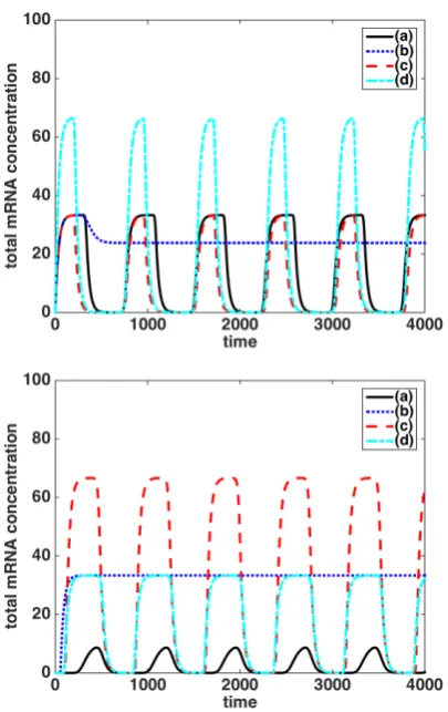 Figure 11:Total mRNA concentrations for species1 (top panel) and 2 (bottom panel) for the two-geneactivator-repressor system (A) under the ﬁrst diﬀusioncoeﬃcient regime, Dm = Dp = D