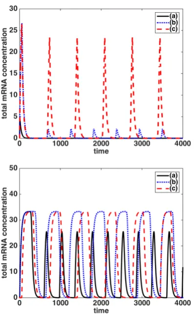 Figure 12:Total mRNA concentrations for speciescoeblack curve: the production sites areproduction sites are1 (top panel) and 2 (bottom panel) for the two-geneactivator-repressor system (A) under the ﬁrst diﬀusionﬃcient regime, Dm = Dp = D