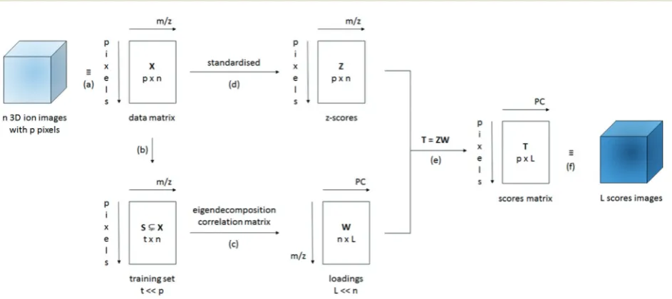 Fig. 1Simpliﬁed schematic of the data processing method used. (a) The n diﬀerent 3D (normalised) ion images for every m/z can be presented as adata matrix X with n columns (one for every m/z) and p rows (one for every xyz pixel)