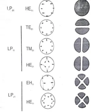 Fig. 2 : The Electric field configuation for the three lowest LP modes. 