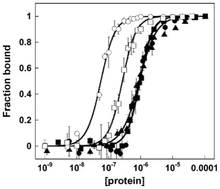 Table 1Comparison of the binding afﬁnity of Alba1 for DNA and RNA
