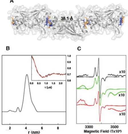 Figure 4protein