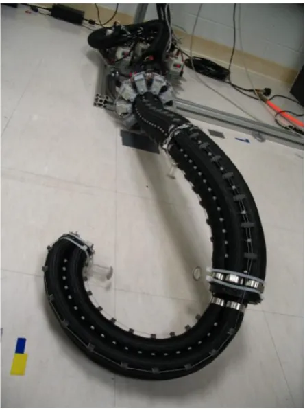 Figure 2-21: OctArm continuum soft robot arm (Bartow, A., Kapadia, A., & Walker, 