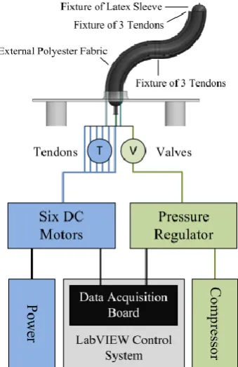 Figure 2-28: The structure of the pneumatic manipulator (Stilli, A., Wurdemann, H., 