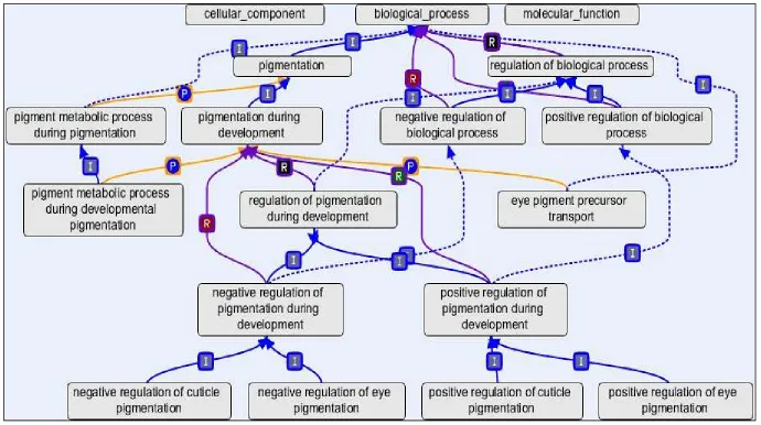Figure 3-1 GO as Graph [105] 