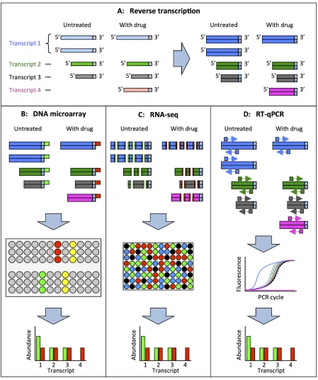 Fig 2.  Transcriptomics methods for target identification.     A) Reverse transcription