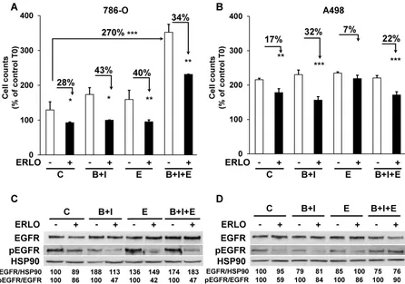 Figure 4. The capacity to proliferate and the sensitivity to ERLO of cells from experimental tumors