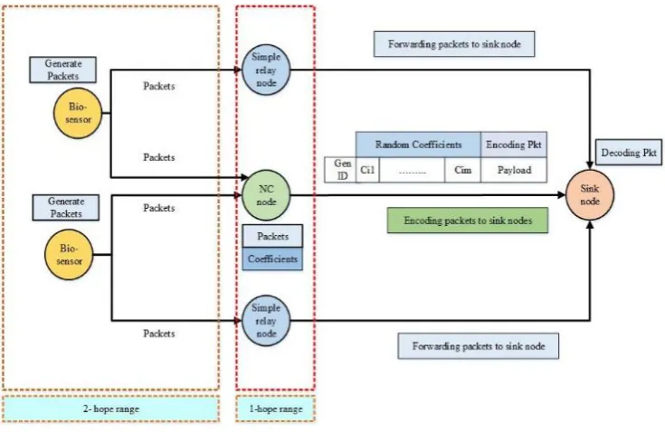 Fig. 1.  The proposed design model in the WBSN [24]  