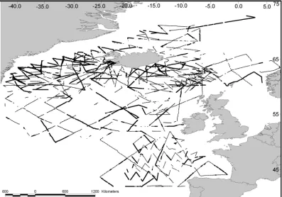 Fig. 2. Cruise tracks for all surveys considered in this paper. Thick line corresponds to effort carried out with BSS 0 to 2