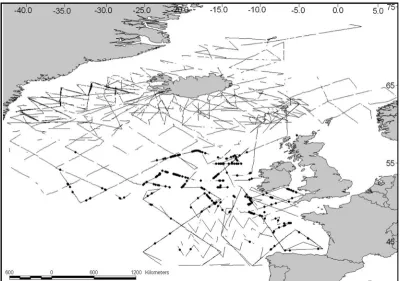 Fig. 5. Cruise tracks and sightings of all surveys considered in this paper