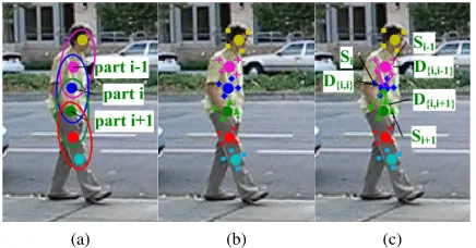 Figure 2: (a) Parts initialisation. (b) Training samples ob-tained around each part. (c) Implicit shape model
