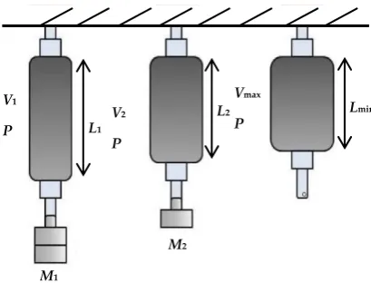 Figure 4.Figure 4. Isobaric characteristic of the pneumatic muscle actuator.  Isobaric characteristic of the pneumatic muscle actuator.