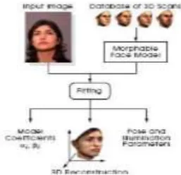 Figure 2. Fitting the Morphable Model to an Image produces not only a 3D reconstruction, but also model  coefficients αi, βi and an estimate of head orientation, position and illumination