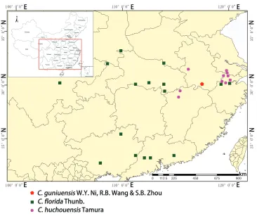 Figure 4. Distribution map of Clematis guniuensis (pentagon, red) and its congeners C