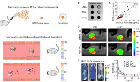 Figure 2. Drug release imaging. (A) Nanoformulations entrapping MRI or OI agents can generate different signals when the contrast agent is in entrapped vs