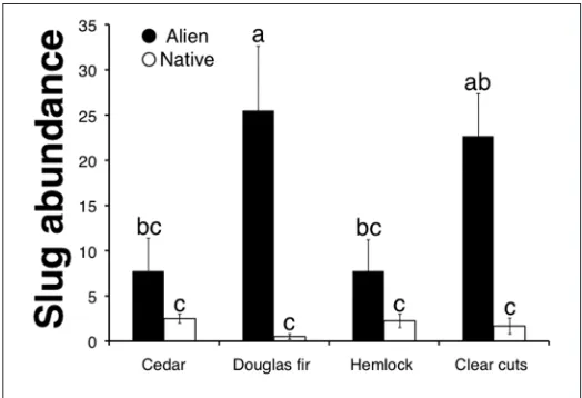 Figure 1. Alien black slugs were 50× and 14× more abundant than native banana slugs in Douglas fir and clear cuts respectively (mean ± SE, letters indicate significant differences among treatments after separate Wilcoxon test corrected with Bonferroni corr