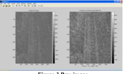 Figure 3 Raw image 