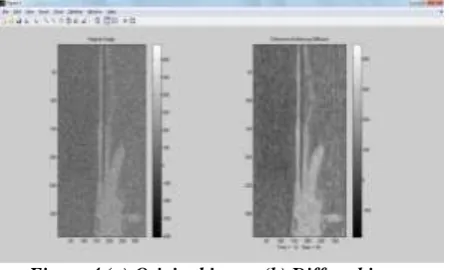 Figure 4 (a) Original image (b) Diffused image 