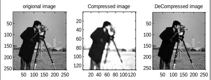 Fig. 2 shows the A. Original image, B. Compressed image and C.  De-compressed image  