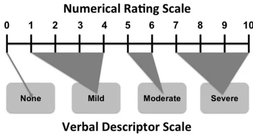 Fig. 1. Practical relationship between Numerical Rating Scale and Verbal Descriptor Scale for pain 