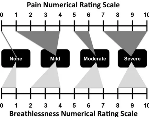Fig. 3. Practical relationships between Numerical Rating Scale and Verbal Descriptor Scale for pain 