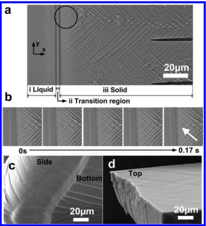 Figure 1. (a) Optical micrograph of a drying ﬁpolystyrene particles. Diagonal lines are observed toform under the apex of chevrons and then propagatebehind the transition region (ii)