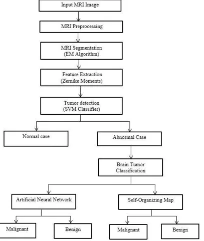 Figure 2(a) proposed block diagram for the tumor detection and classification 