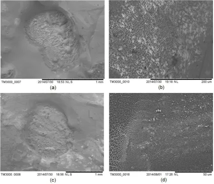 Fig. 10 Photographs of the flexible PCB interconnected samples tested at: (a) 500 J, OCFM; 