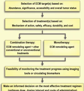 Figure 7. Schematic model of therapeutic interventions for normalization of the extracellular matrix (ECM) in solid tumors