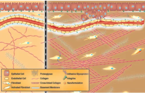 Figure 1. Towards extracellular matrix (ECM) normalization for improved treatment of solid tumors
