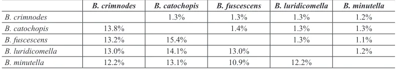 Table 2. Mean (below diagonal) and standard deviation (above diagonal) sequence divergence (uncorrected p-distances) of 658 bp fragment of cytochrome c oxidase I (COI) among pairs of species of Borkhausenia with sequences available on BOLD and GenBank.
