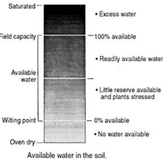 Figure 4 Existing Irrigation Systems 